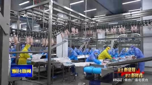 逆勢而上，煙臺企業穩步挺進海外食品添加劑市場