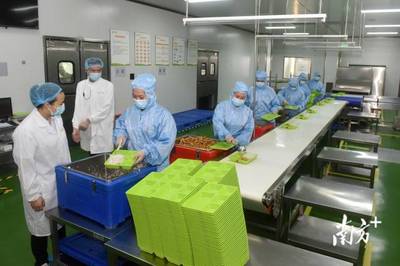 南方觀察|博羅啟動“鏈長制”，首發者為何是食品添加劑產業？